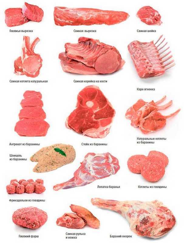«Тайны выбора и приготовления органического мяса»