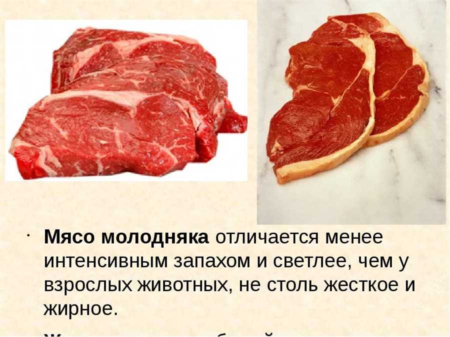 Как правильно выбрать свежее мясо — секреты определения его качества