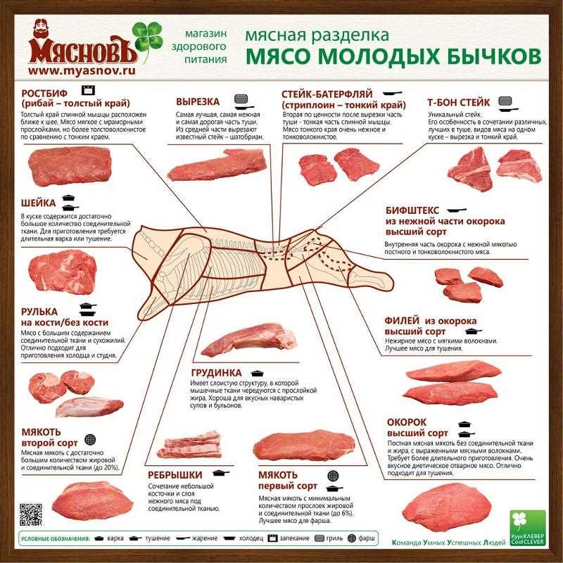 «Умные советы от экспертов о том, как правильно подобрать и приготовить свежее органическое мясо»